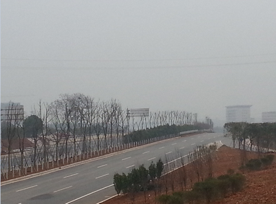 糖果派对游戏官网 - 首页