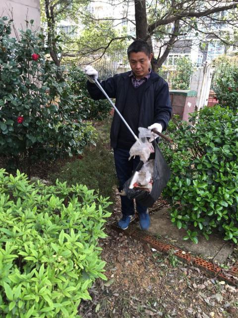 节造鼠害、预防疾病，构建和谐文化社区